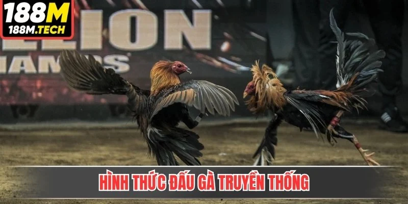 Hình thức đấu gà truyền thống